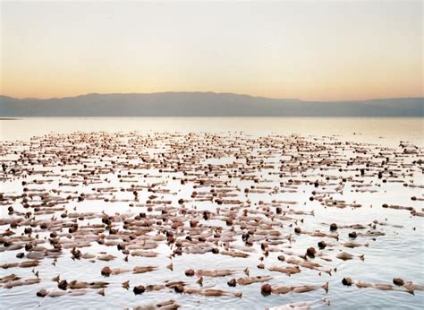 american girl nude pics|The Naked World of Spencer Tunick